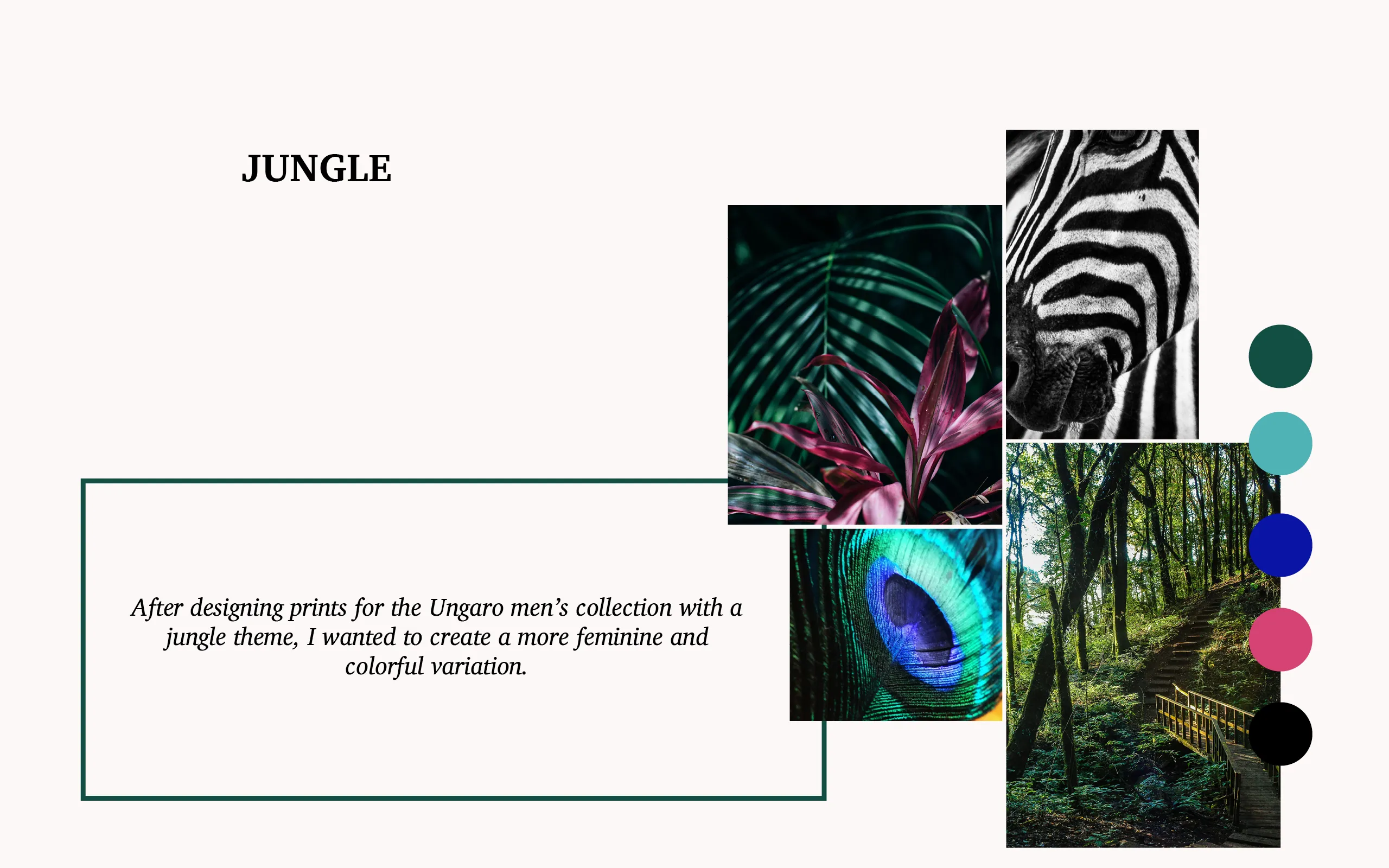 Portfolio Jungle Luxuriante: Imprimés dessinés à l'aquarelle