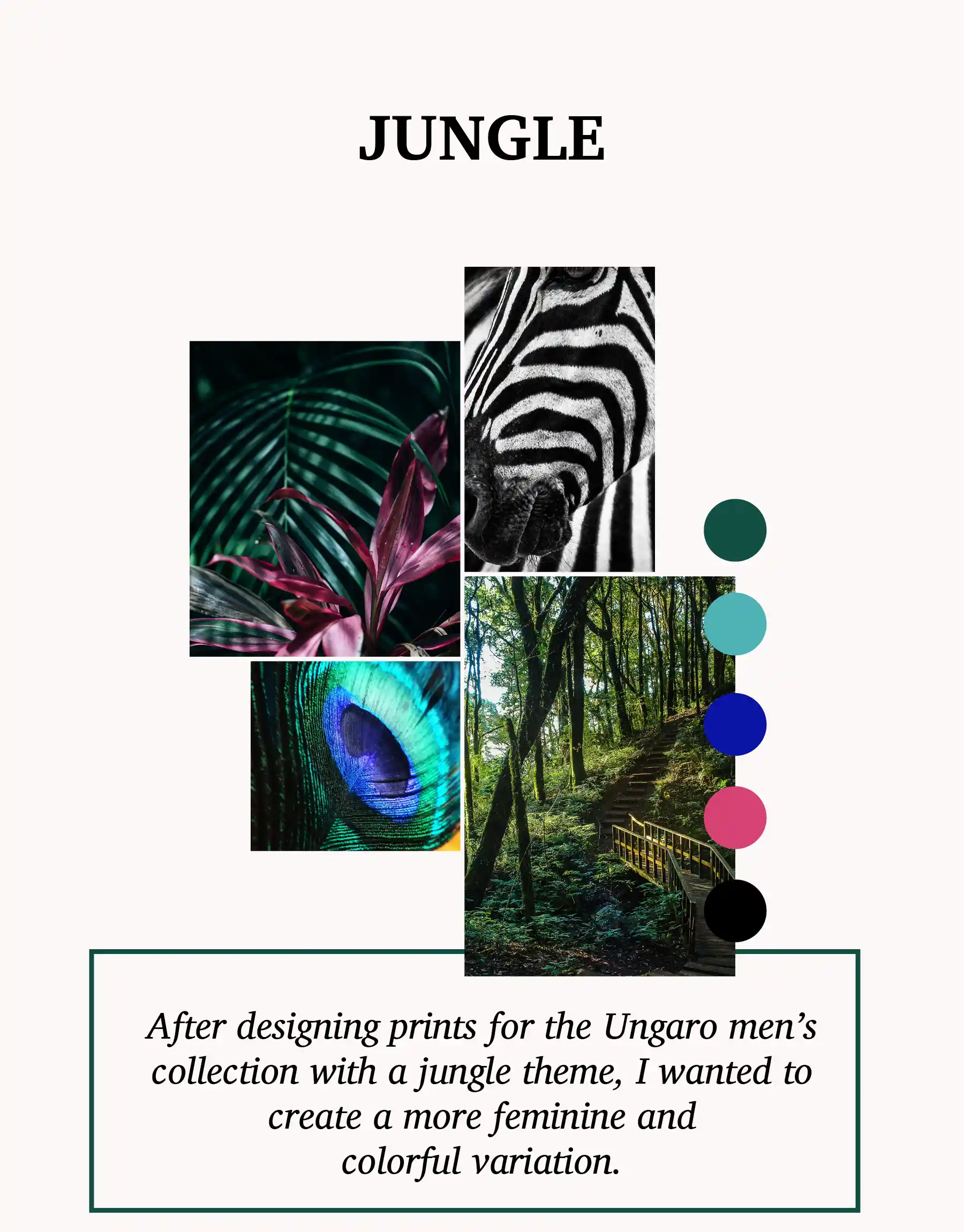 JUNGLE FR 01 TEL 2024